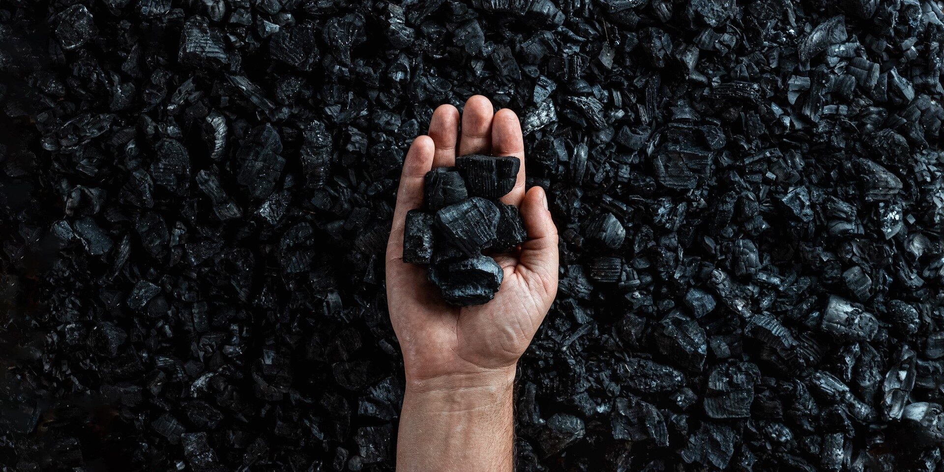 A background of coal, with a hand holding more coal set against it.