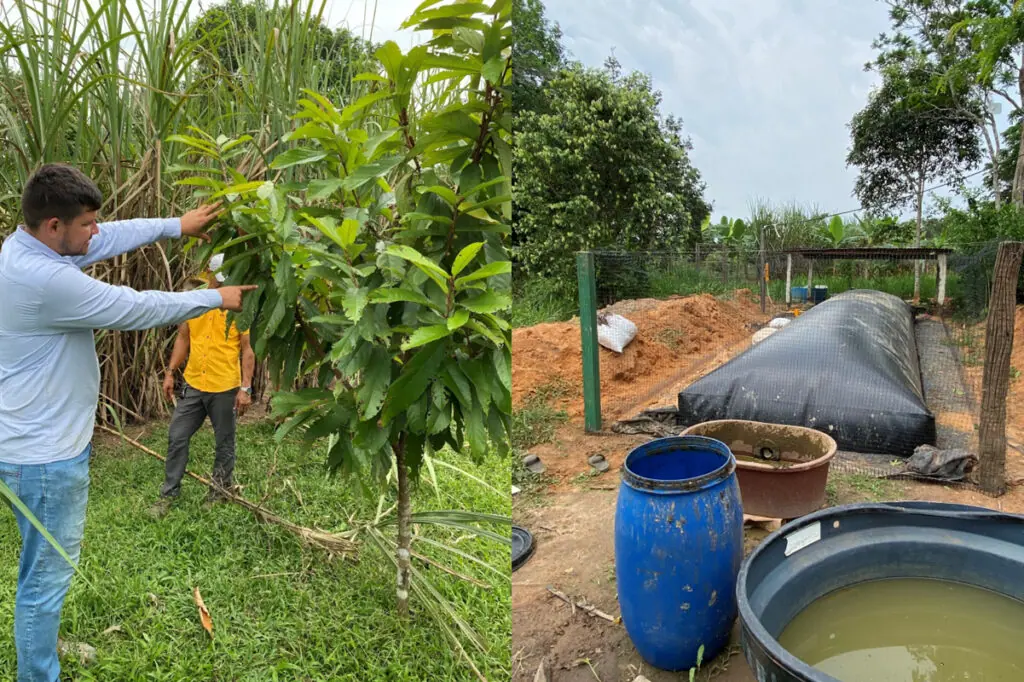 Left-hand image: Víctor showing representatives from Chemonics some of the ComGuaviare crops, which have been grown using sustainable agroforestry methods. Right-hand image: The ComGuaviare biogas facility, which is providing cooking gas and sustainable fertiliser for the cooperative.