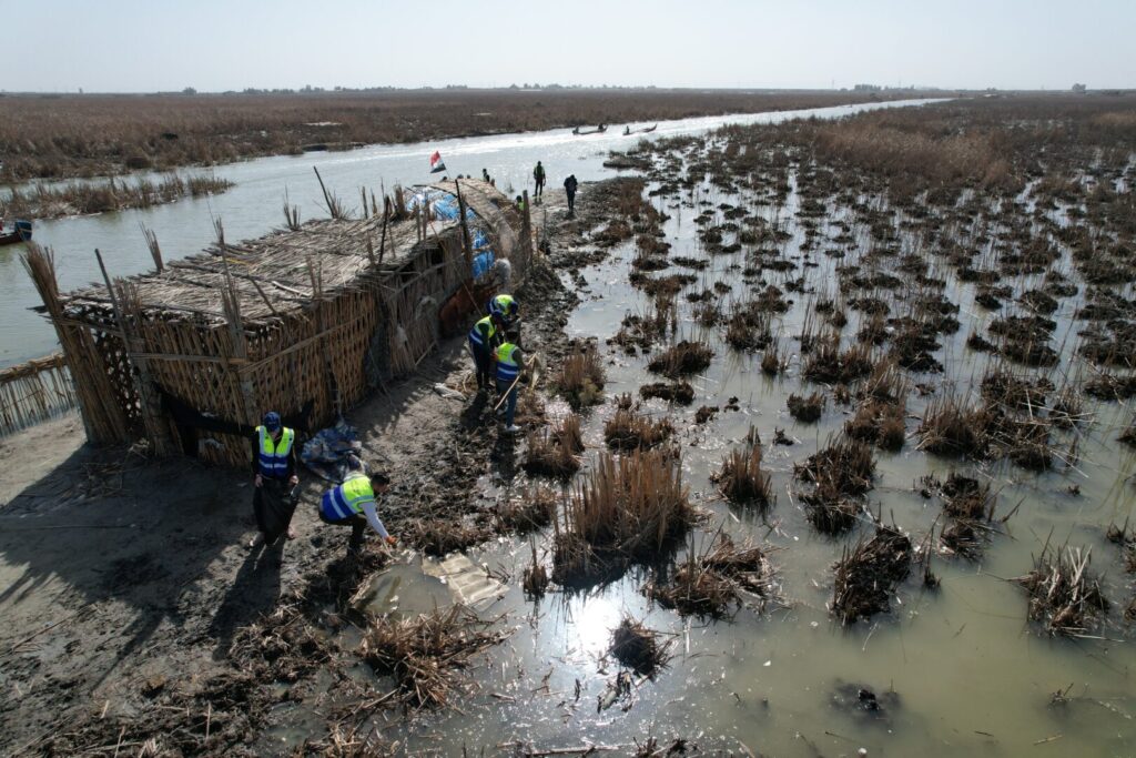  Iraqi youth work to remove waste around a reeds-made animal shelter in the Iraqi marshlands.