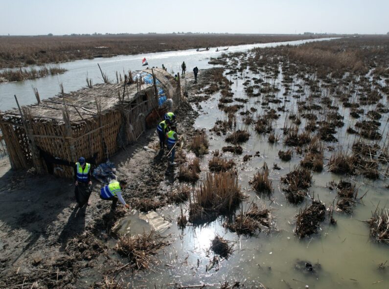 Iraqi youth work to remove waste around a reeds-made animal shelter in the Iraqi marshlands.