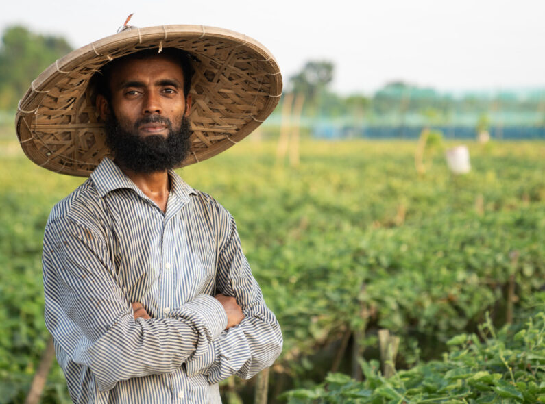 A man stands and looks at the camera, standing in front of a field of green crops.