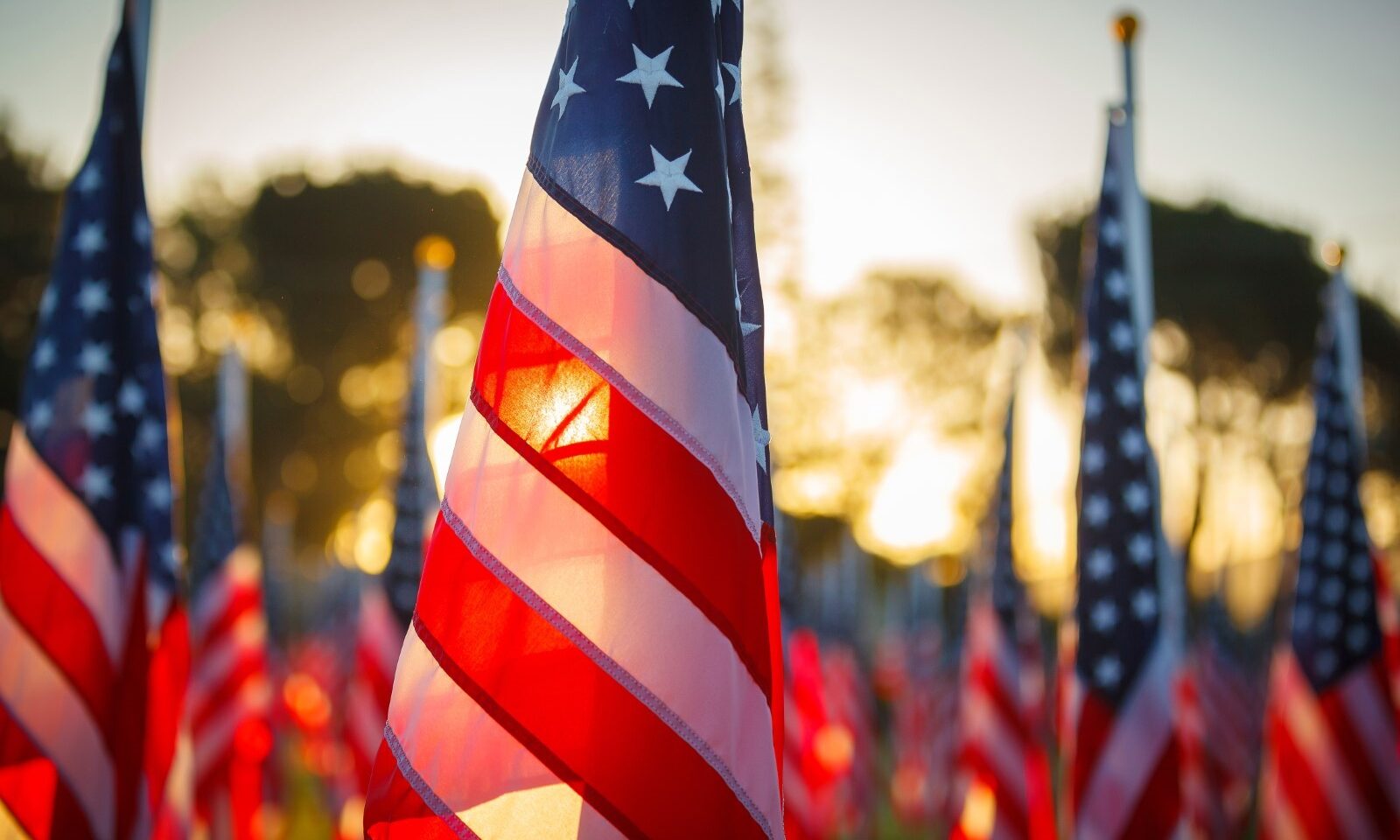 American flags